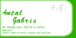 antal gabris business card